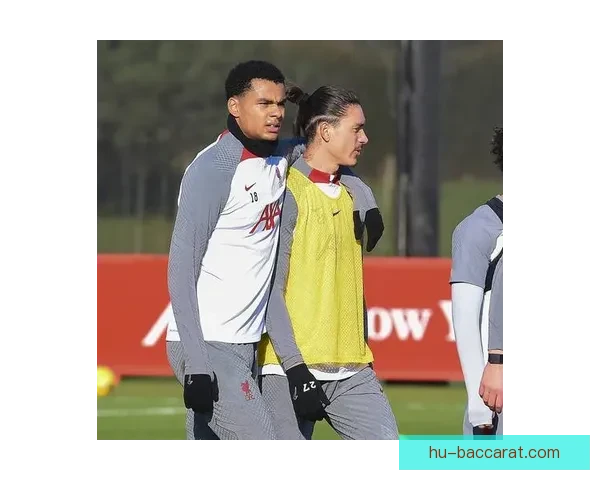 加克波拉起倒地科尔克茨利物浦赛后握手尽显体育精神温情一幕